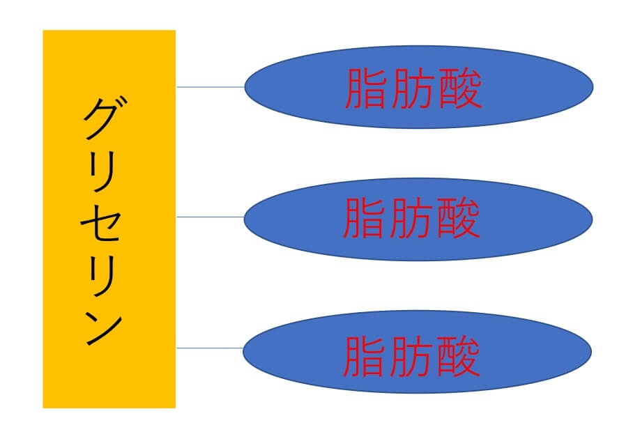 太る油 太らない油を検証してみた 文京区千石 本駒込 ダイエットジム 脂質の栄養 パーソナルトレーニング 東京都文京区千石 巣鴨パーソナルトレーニングスタジオkame7 ダイエット ピラティス