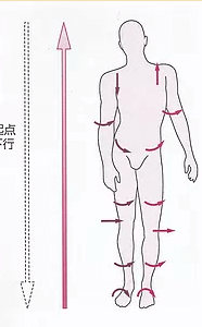 足関節の捻じれは腓骨、大腿骨、股関節に影響を与える