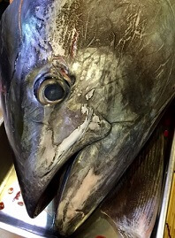 魚油は脳細胞によい影響を与えます。